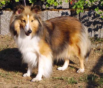 die Mutter, Ayurveda Wee Witch Ginny Weasley